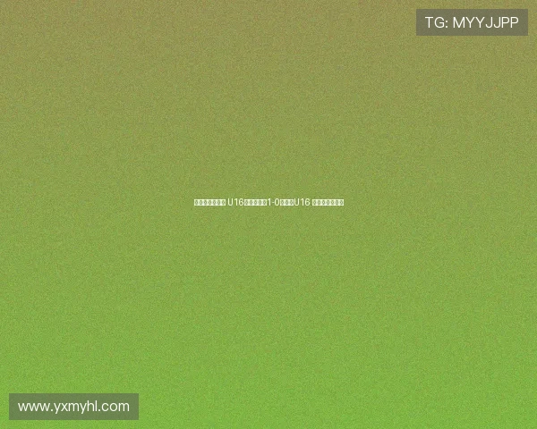 德国拉练二连胜 U16国少热身赛1-0胜门兴U16 万项破门成焦点